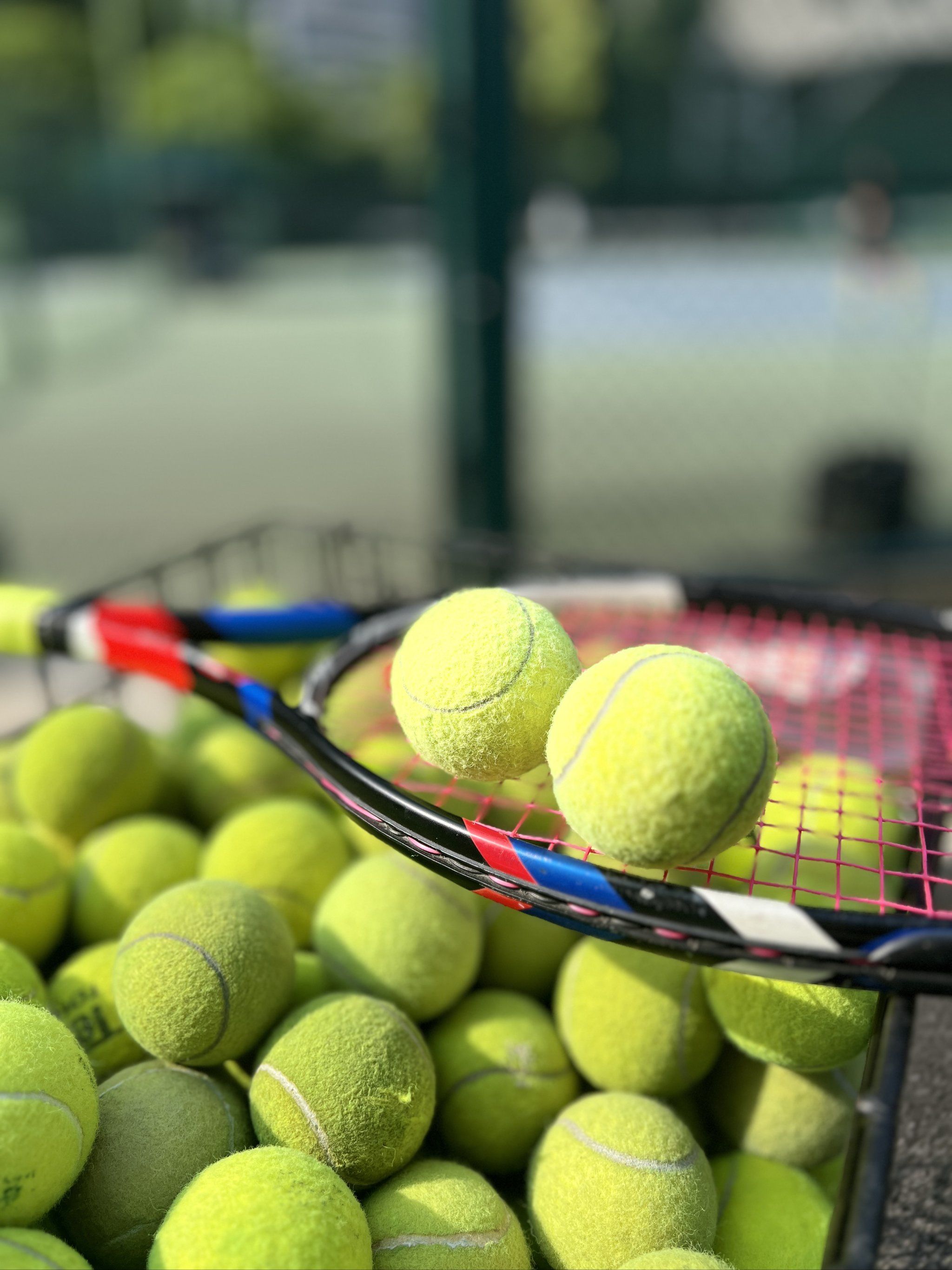 渐开始重视 渐开始重视